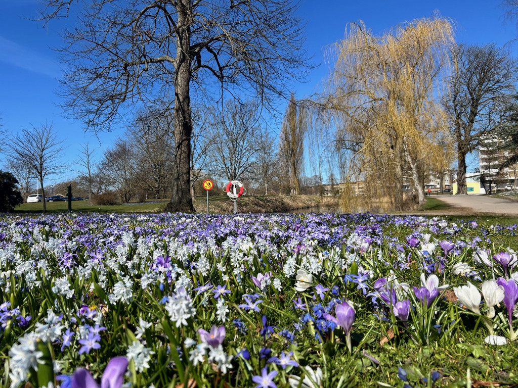 På andra sidan Eriksgatan finns Slottsparken - en rofyll oas