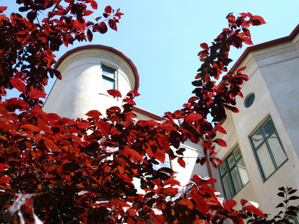 Regeringsgatan 71