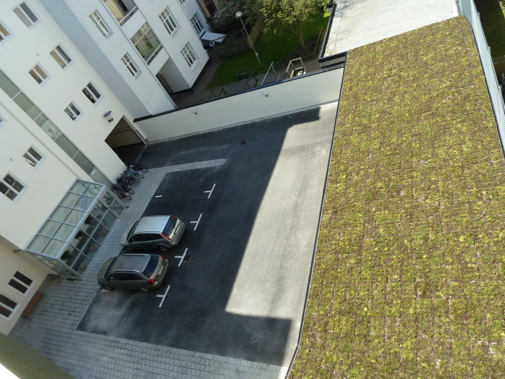 Sedumtak på garaget